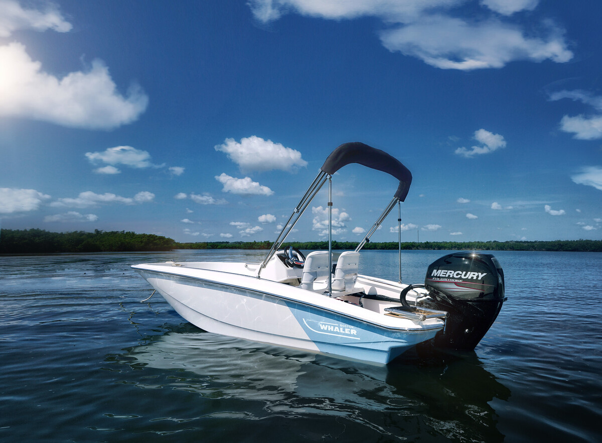 Boston Whaler 130 Super Sport — foto 2 van 18