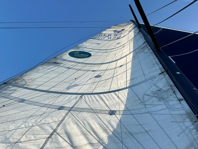 Pogo 40 — foto 4 van 12