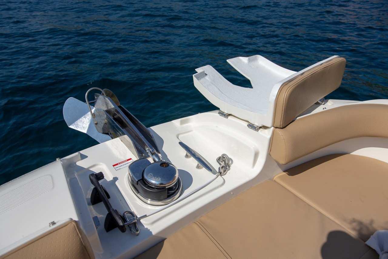 Sea Ray SDX 250 — foto 9 van 10