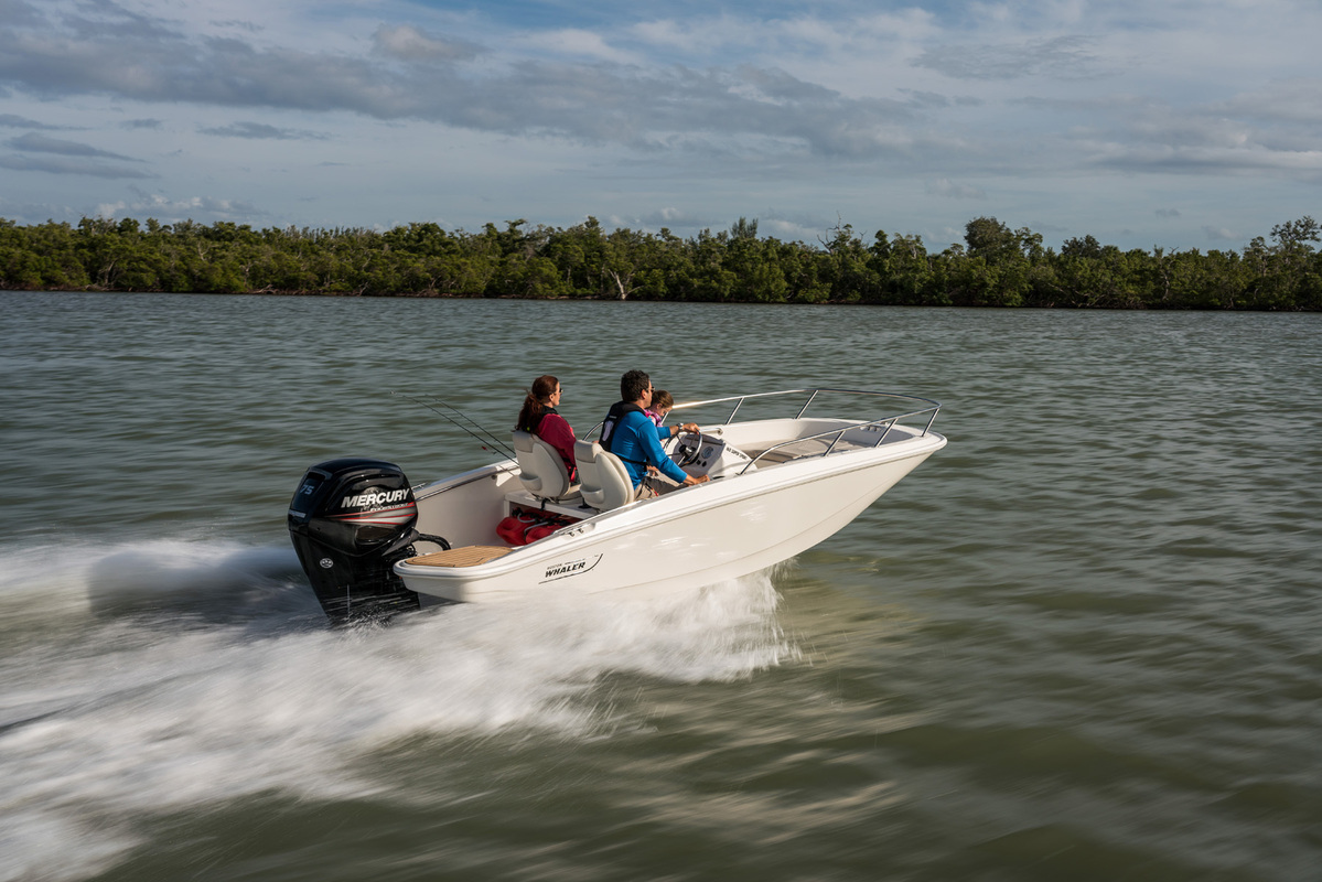 Boston Whaler 160 Super Sport — foto 1 van 19