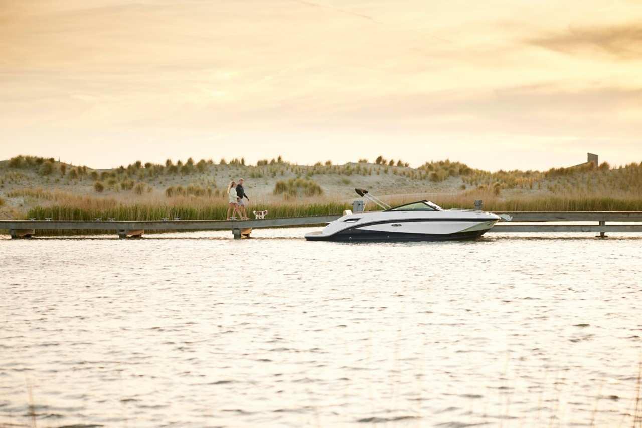 Sea Ray SDX 250 — foto 4 van 10