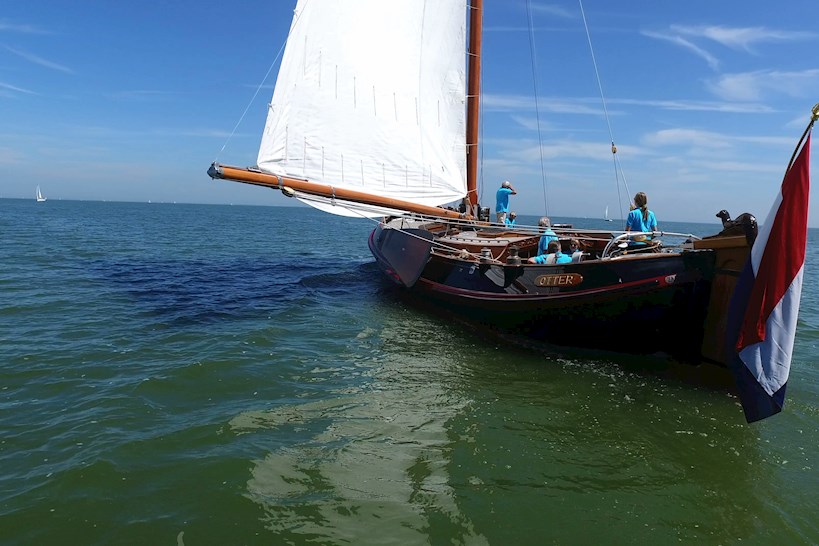 Lemsteraak Roefaak - Otter — foto 4 van 51
