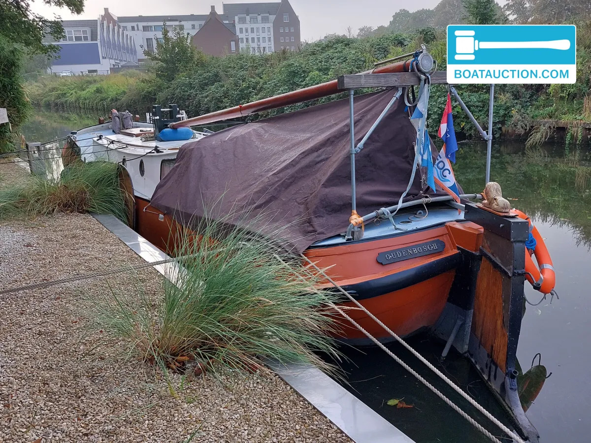 Wildschut Skutsje nu in de online veiling. — foto 5 van 23