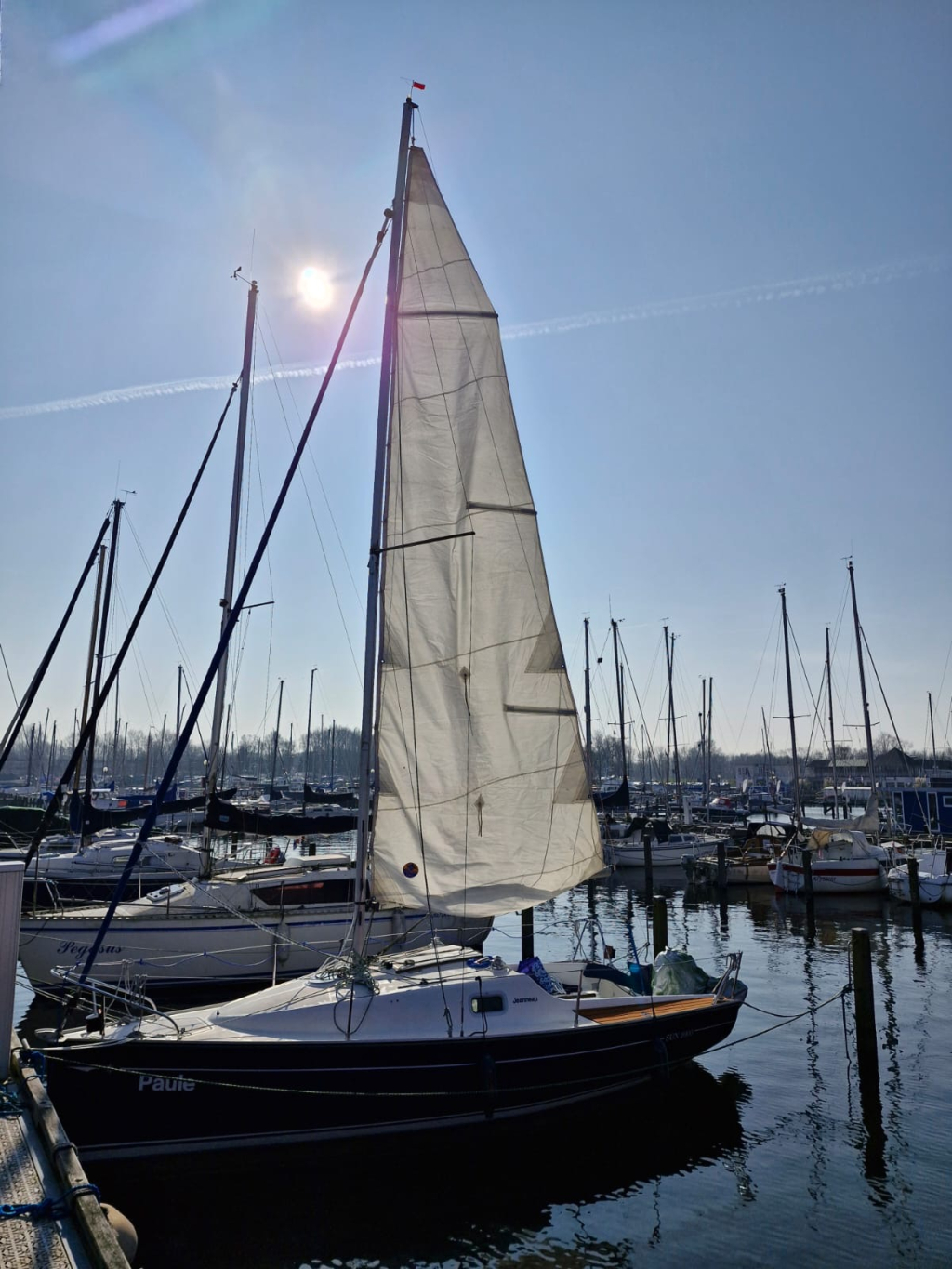 Jeanneau Sun 2000 — foto 15 van 21