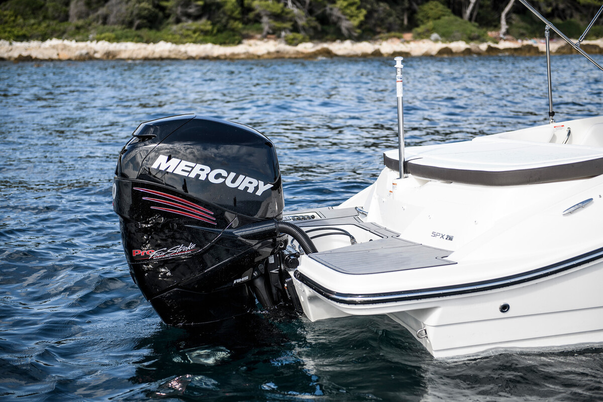 Sea Ray SPX 210 Outboard — foto 16 van 19