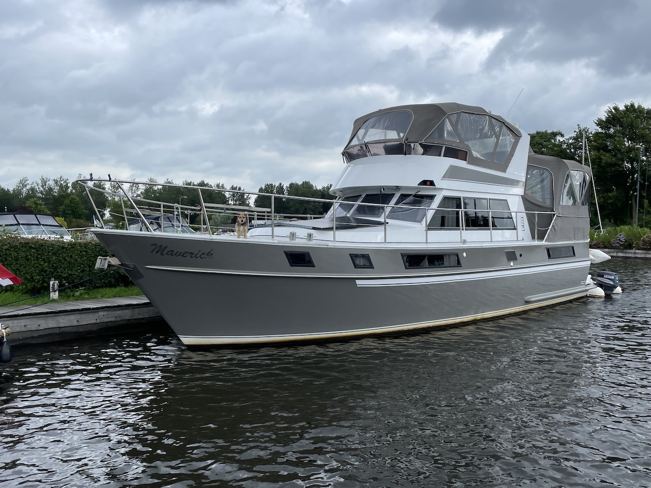 Blauwe Hand Commander — foto 22 van 23