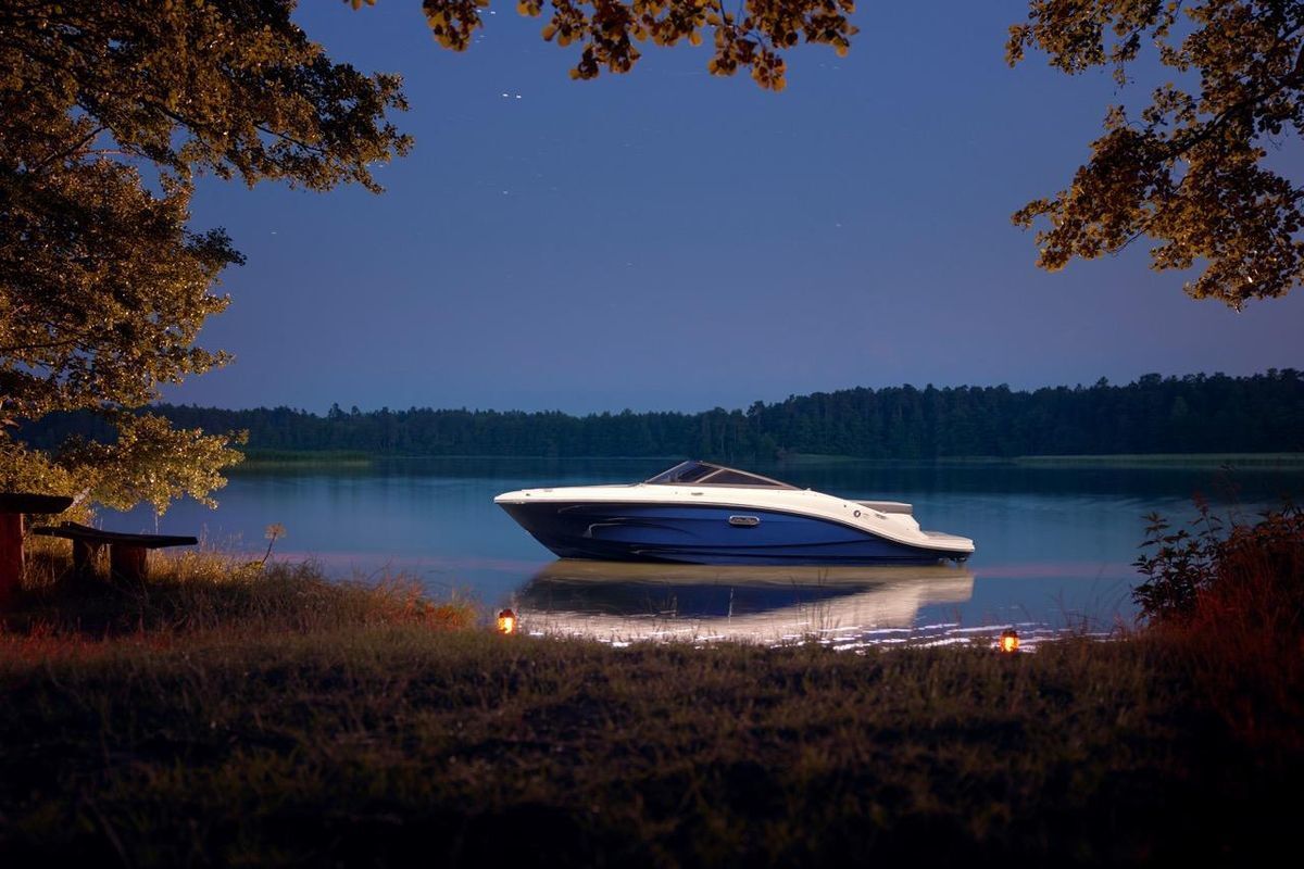 Sea Ray SPX 190 New Model 2025 — foto 2 van 20