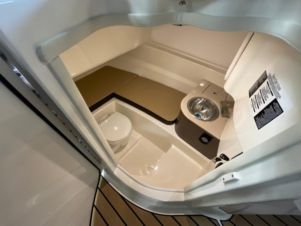 Sea Ray SDX 250 Outboard — foto 26 van 31
