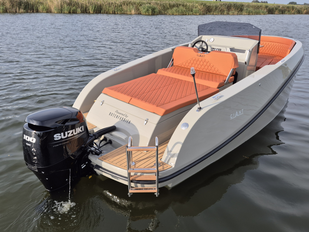 Giant 660 Tender | nieuwe Suzuki DF100 | vaarklaar DEMO — foto 3 van 24