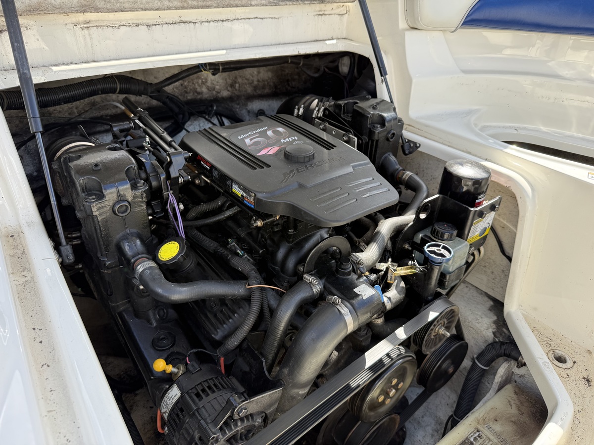 Bayliner 219 SD — foto 22 van 48