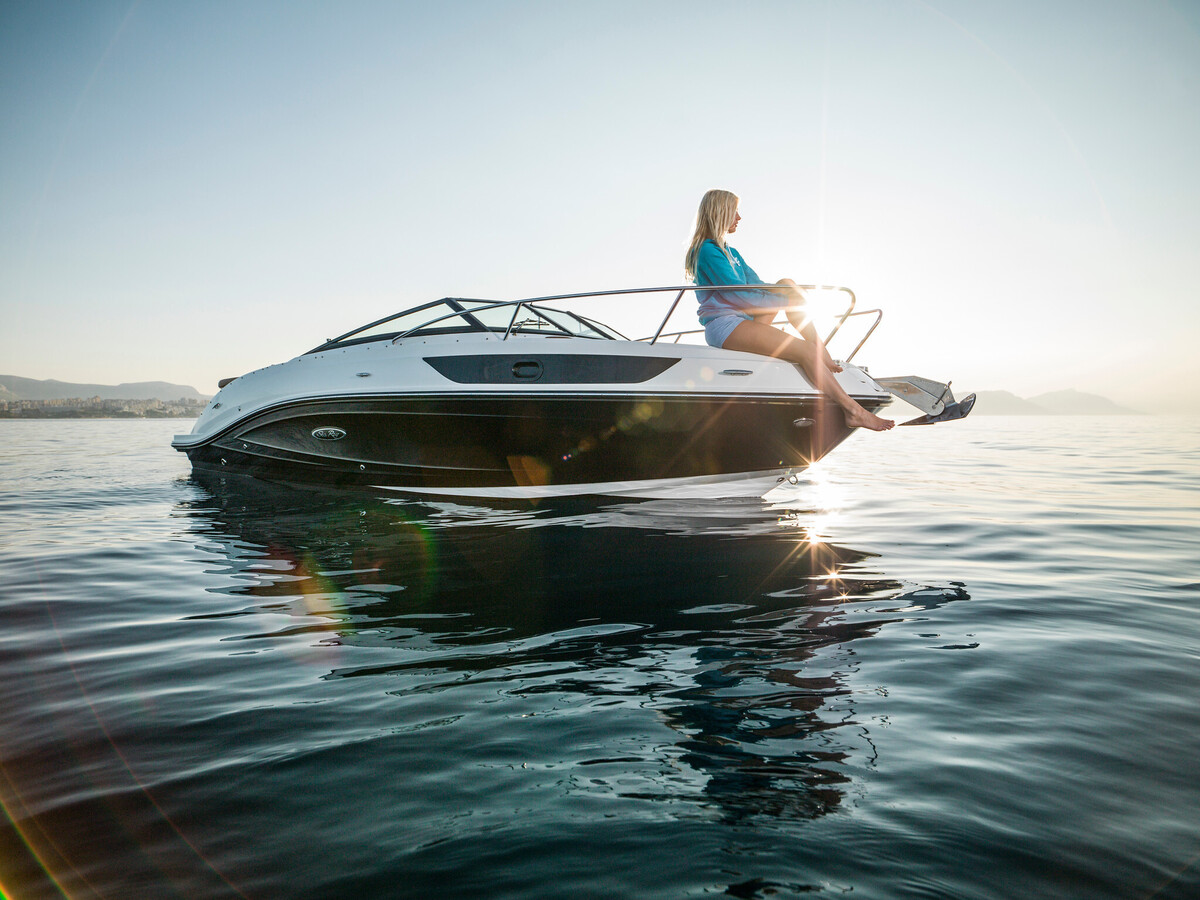 Sea Ray Sun Sport 230 — foto 1 van 13