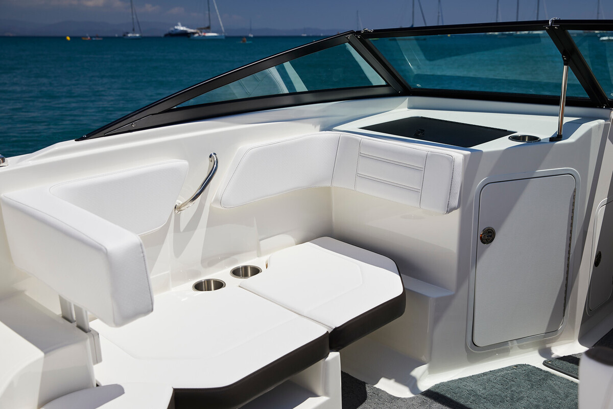 Sea Ray SPX 190 Outboard — foto 3 van 11