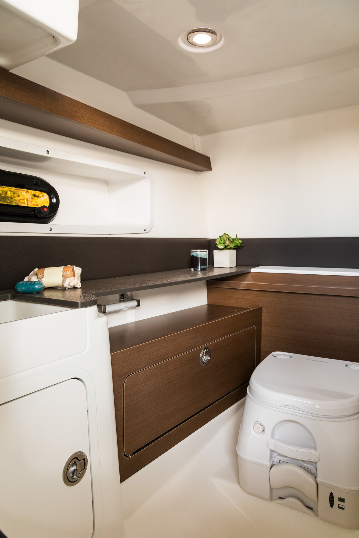 Sea Ray SDX 290 — foto 9 van 12