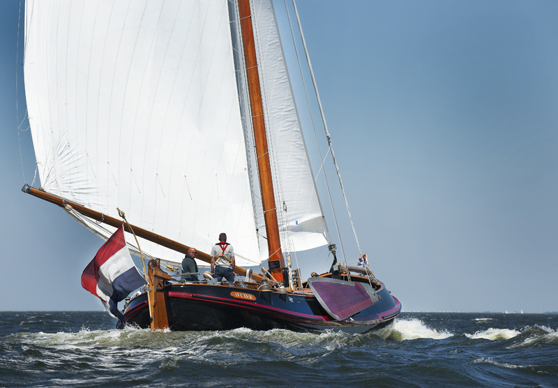 Lemsteraak Roefaak - Otter — foto 50 van 51