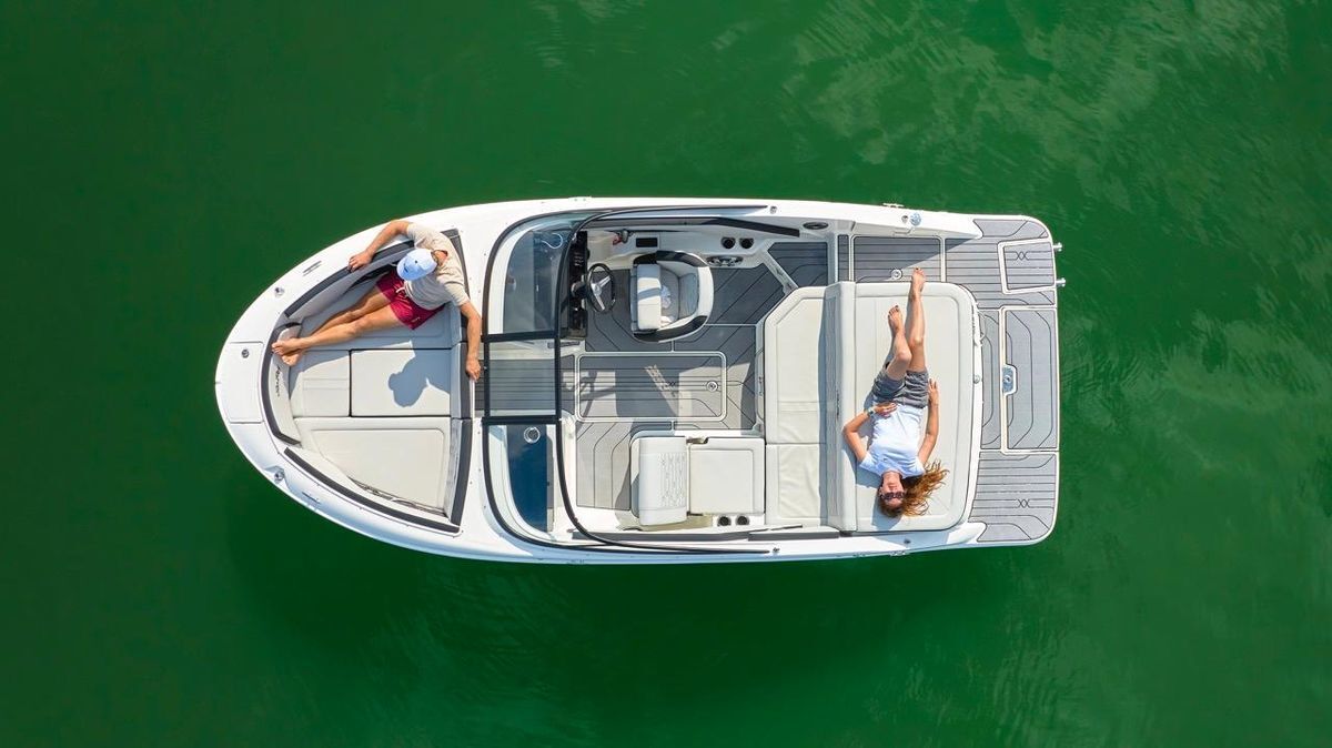 Sea Ray SPX 190 New Model 2025 — foto 3 van 20