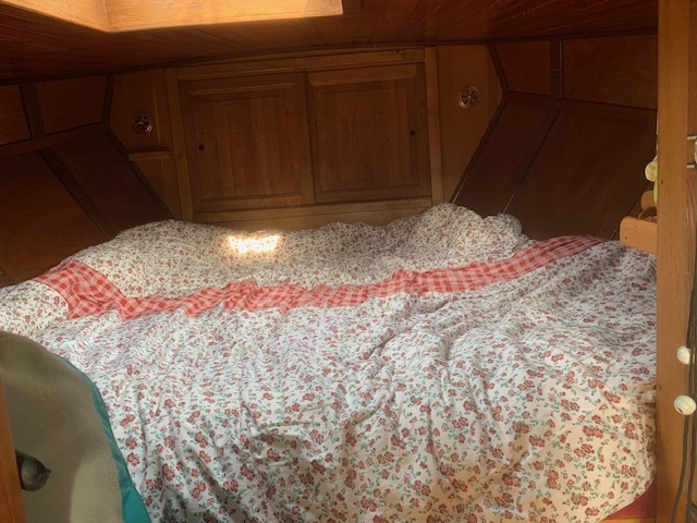 Bekebrede Liamer Zeeschouw 900 — foto 19 van 21