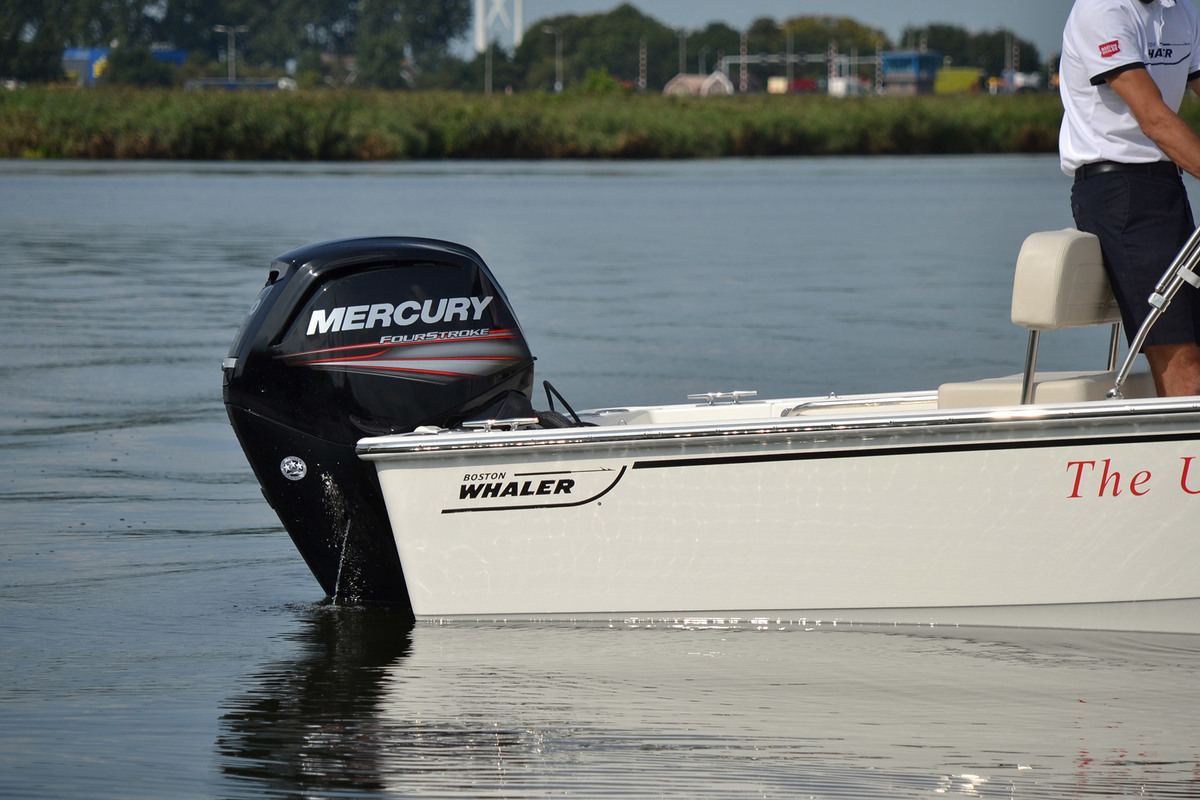 Boston Whaler 170 Montauk — foto 9 van 34