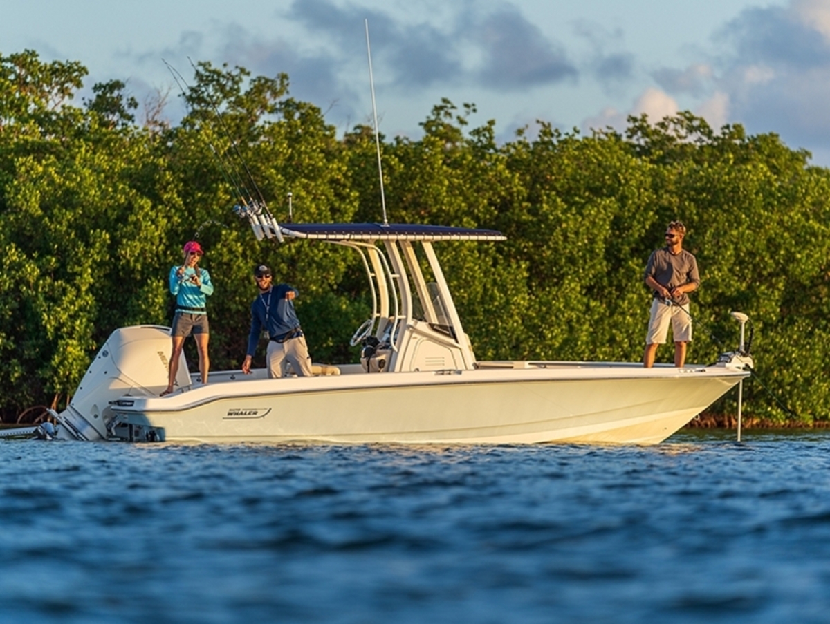 Boston Whaler 220 Dauntless — foto 5 van 17