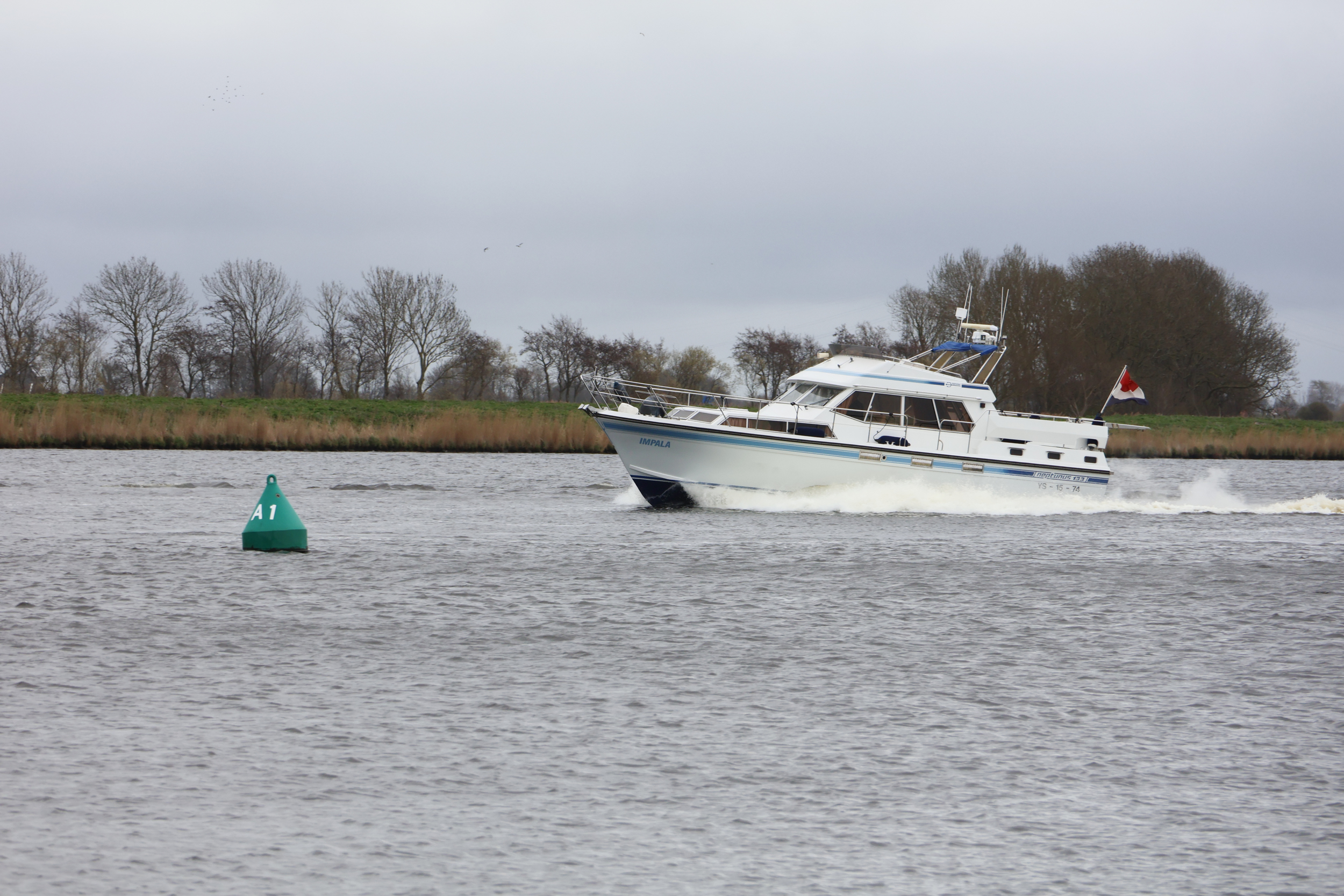 Neptunus 133 Flybridge — foto 3 van 34