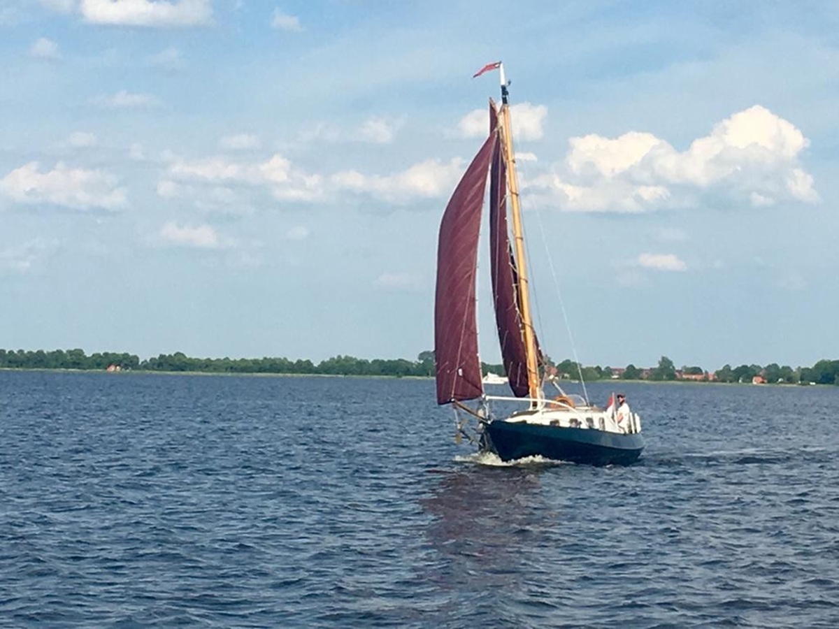 De Boer Hoogaars — foto 4 van 9