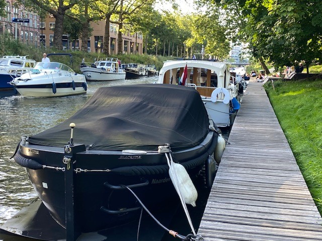 Blackfish 850  — foto 9 van 18