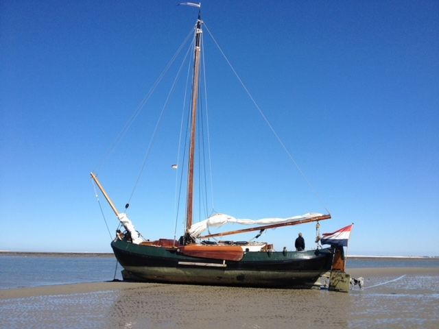 Lemsteraak WL 18 Fasant - Roefuitvoering Jachtuitvoering — foto 6 van 24