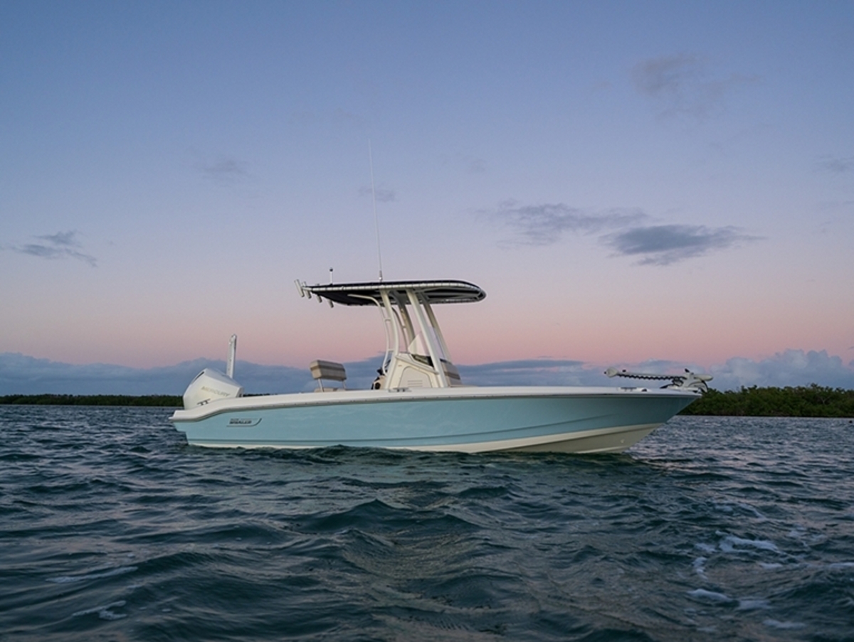 Boston Whaler 220 Dauntless — foto 15 van 17