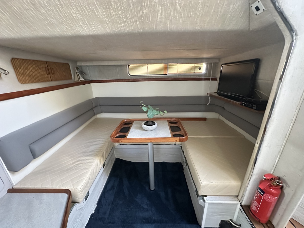 Sea Ray 310 Sundancer — foto 37 van 49