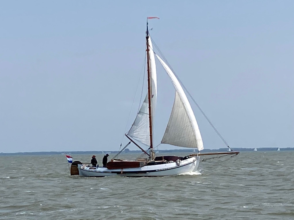 Lemsteraak Roefmodel 1010 - Dolfijn — foto 2 van 39