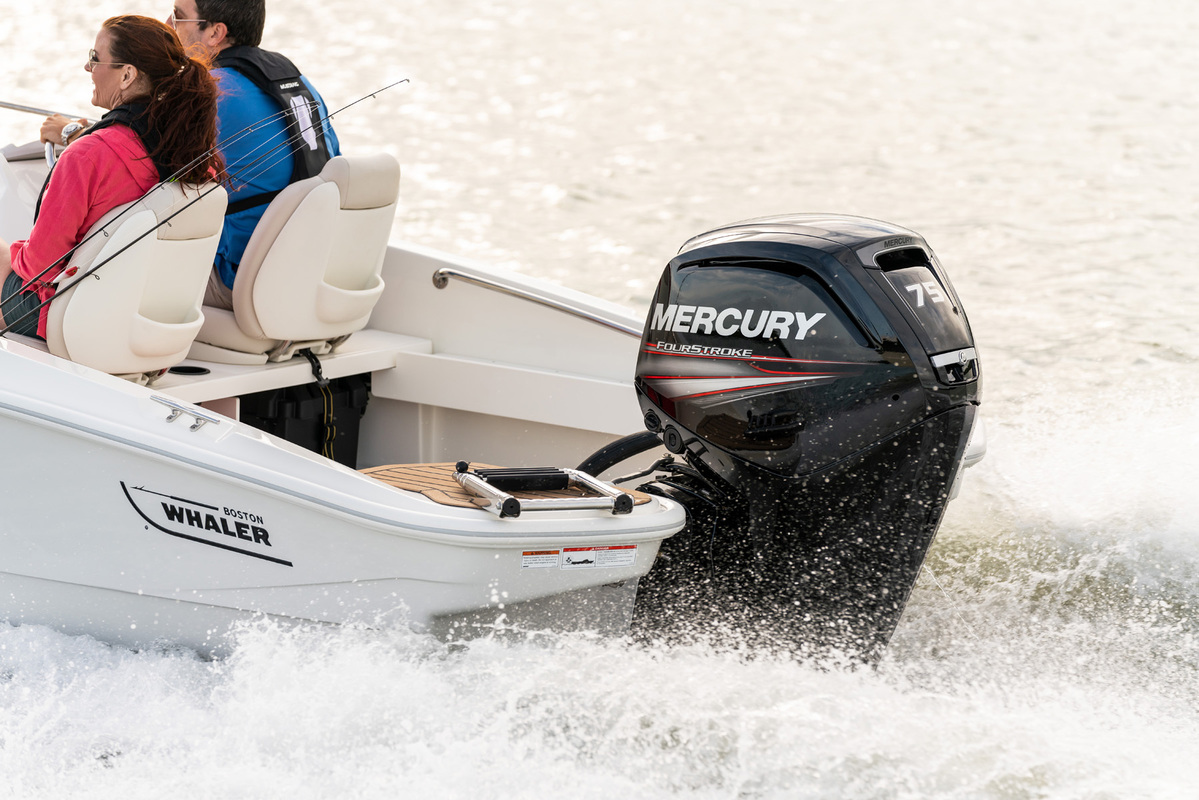 Boston Whaler 160 Super Sport — foto 8 van 19