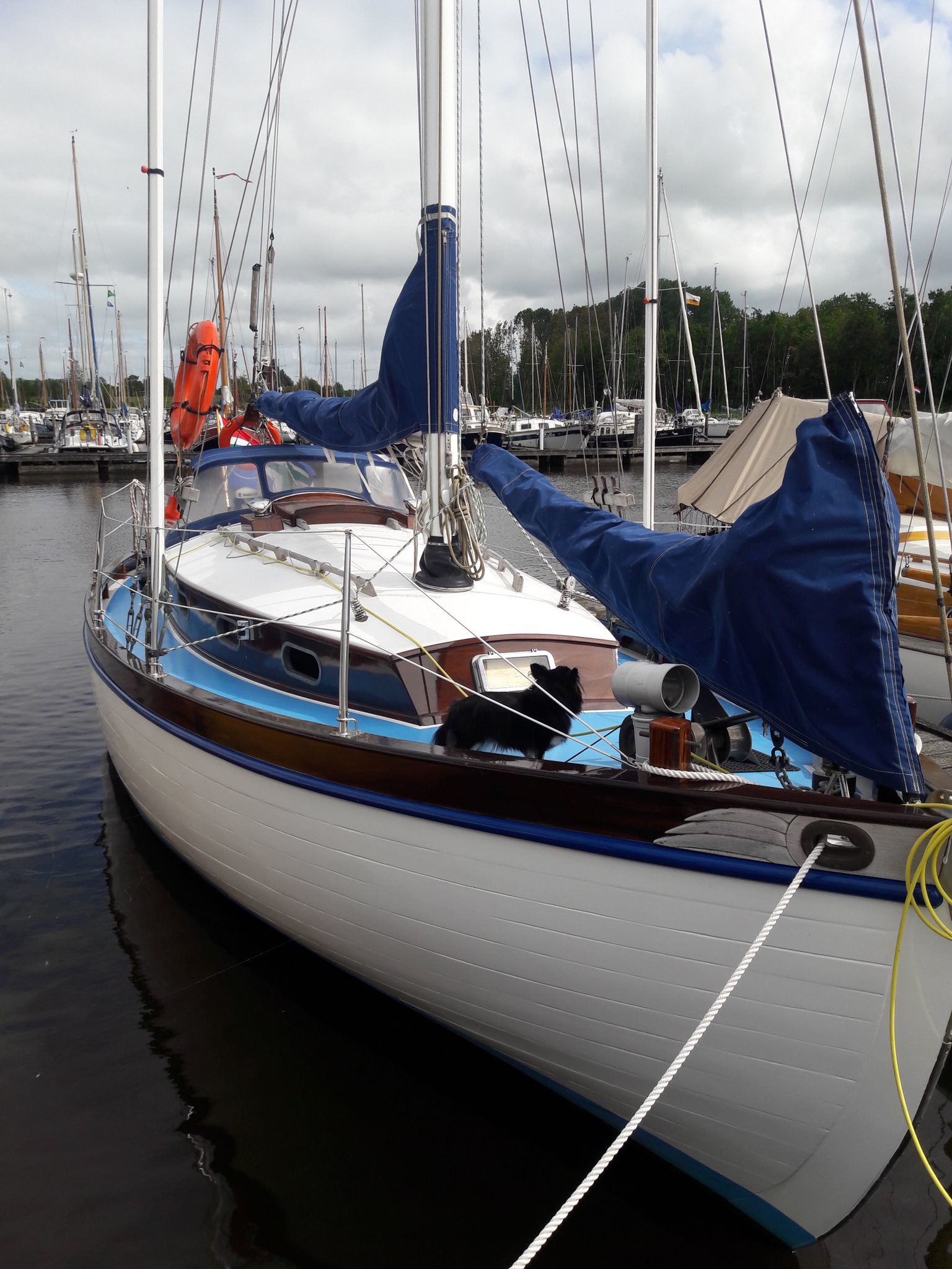 Zweedse Spitsgatter 9.50 - Foto 2