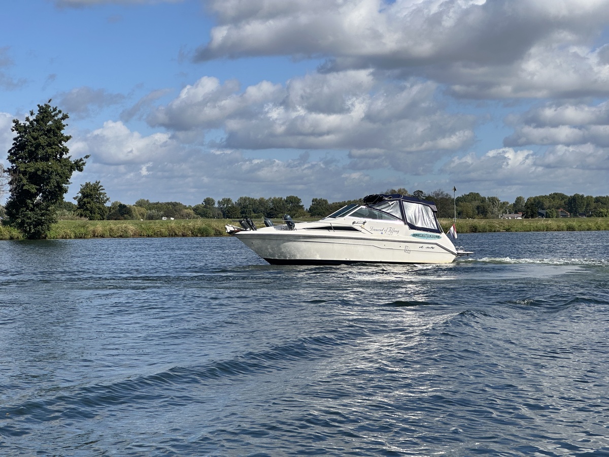 Sea Ray 220DA — foto 23 van 23