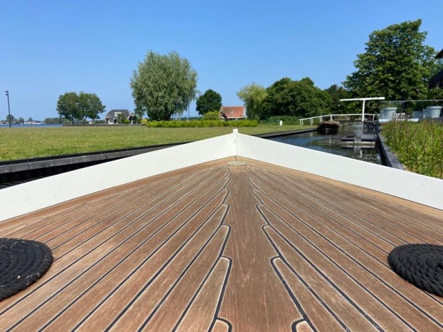 Kokmeeuw  24 — foto 6 van 6