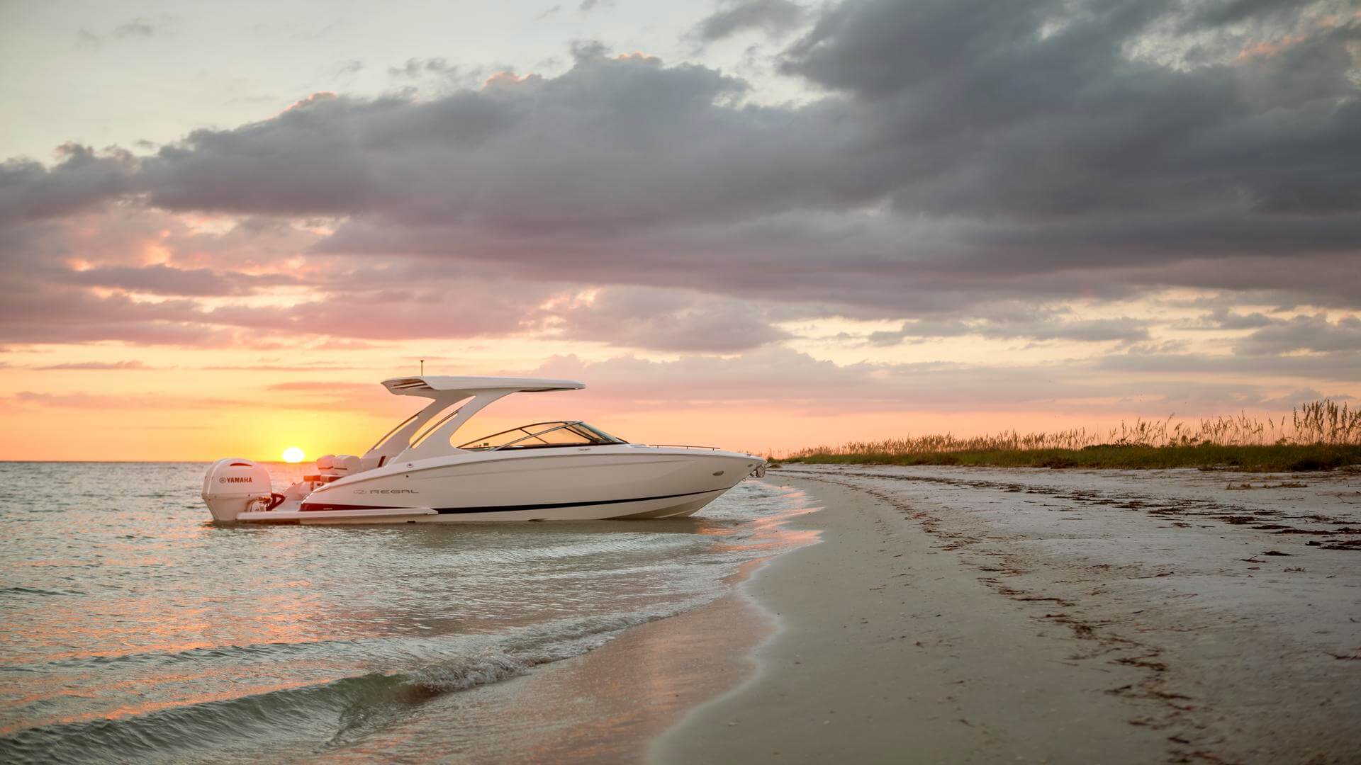 Regal 29 OBX
