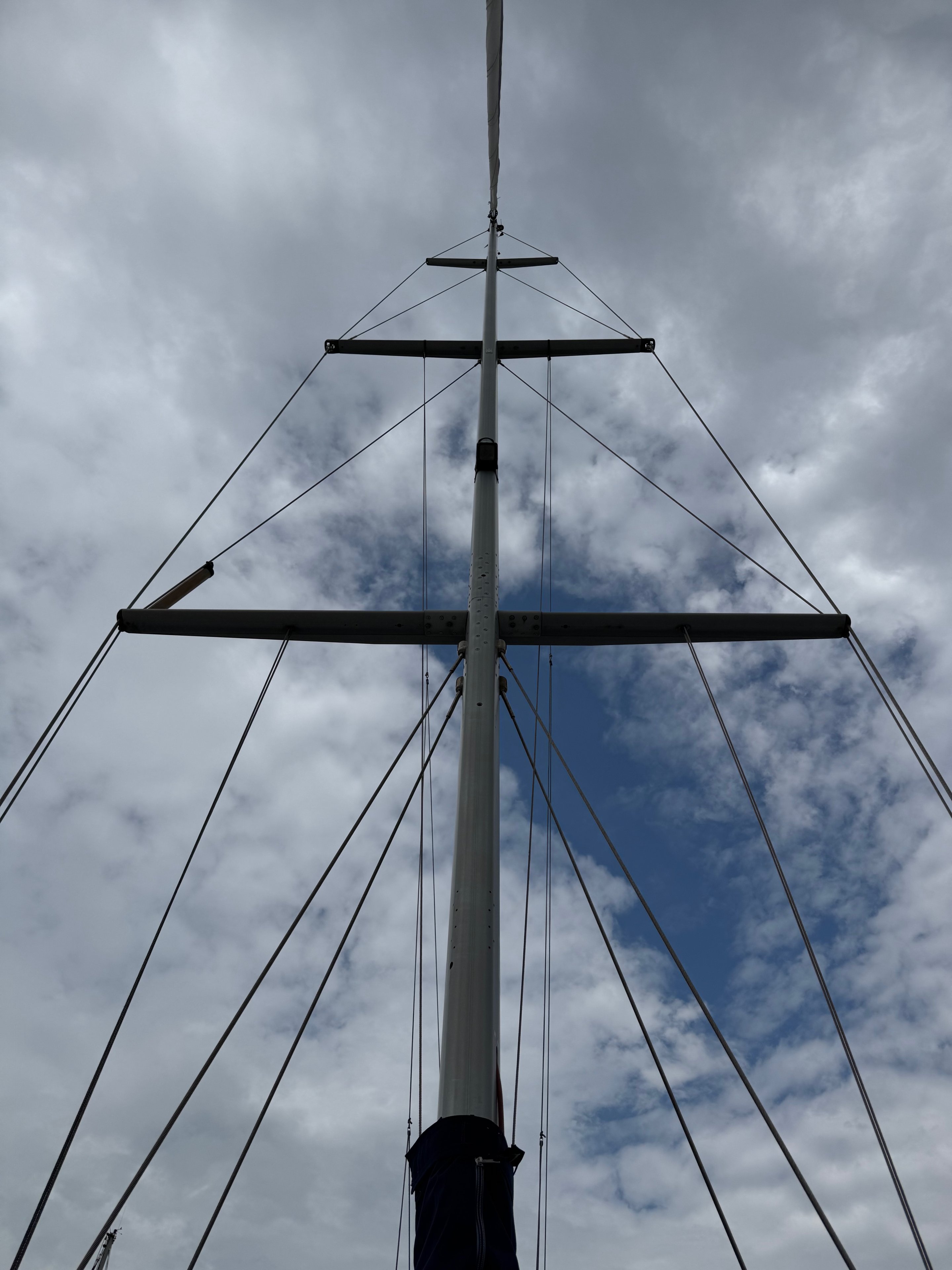 An Pelorus — foto 10 van 12