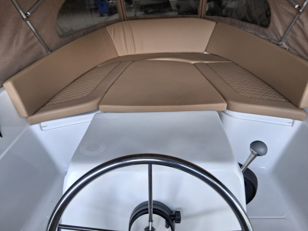 Lioness 455 — foto 7 van 12