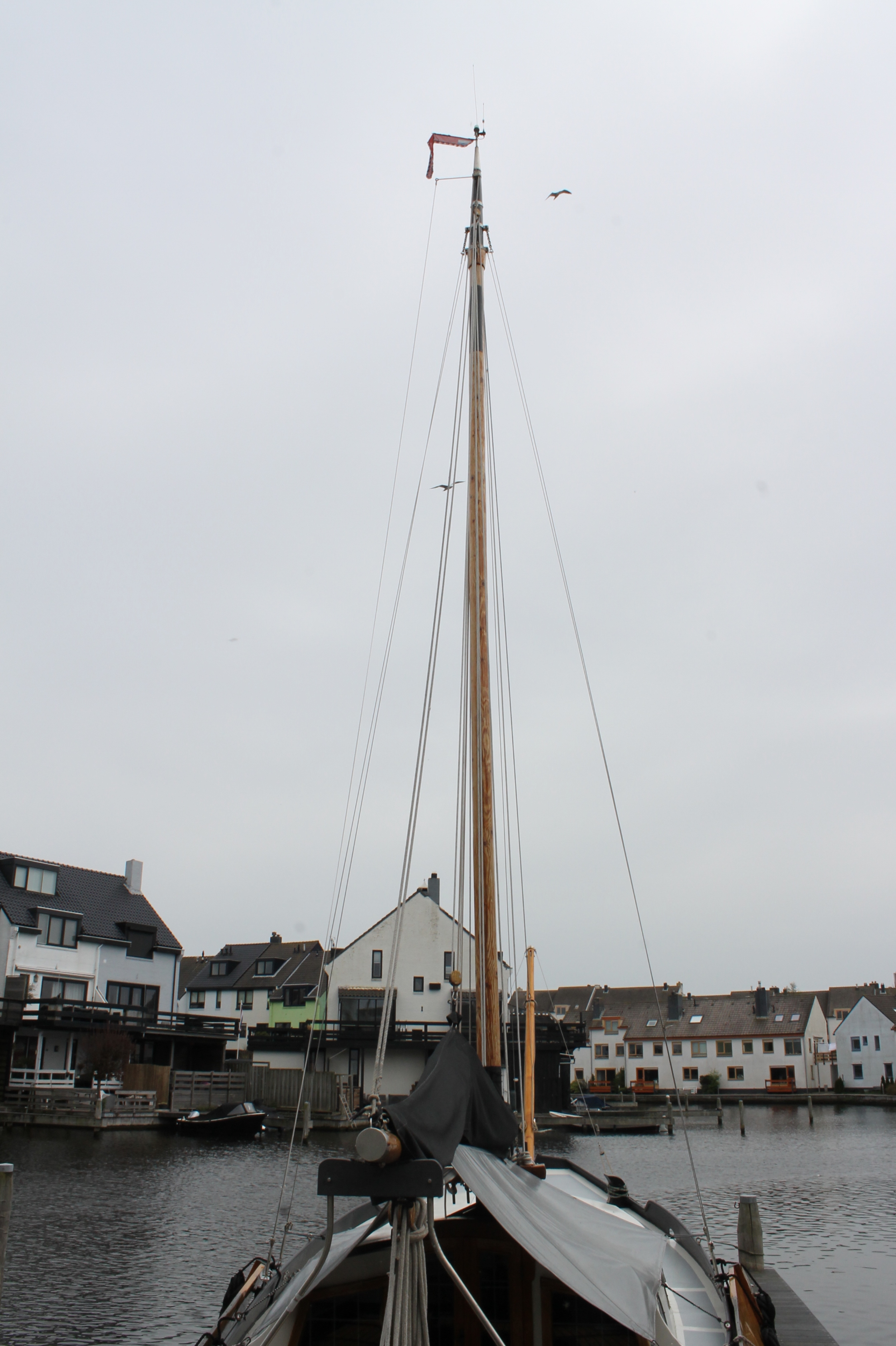 Zeeschouw Van Twillert 10.00 — foto 60 van 72