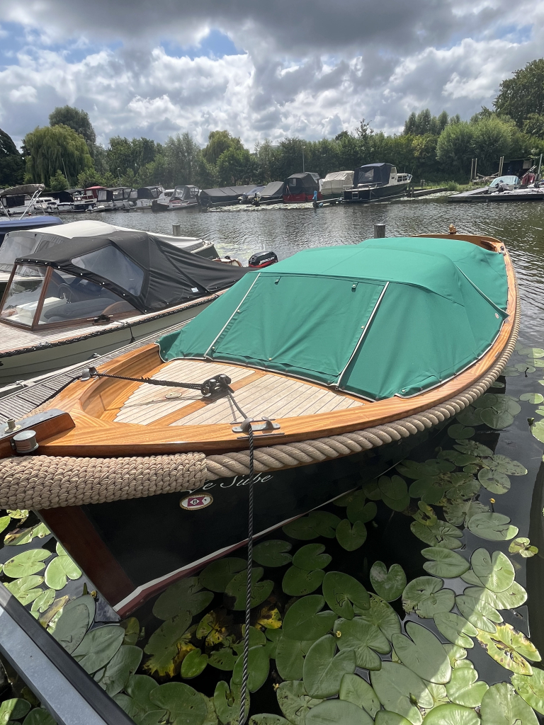 Breedendam P 690 — foto 9 van 21