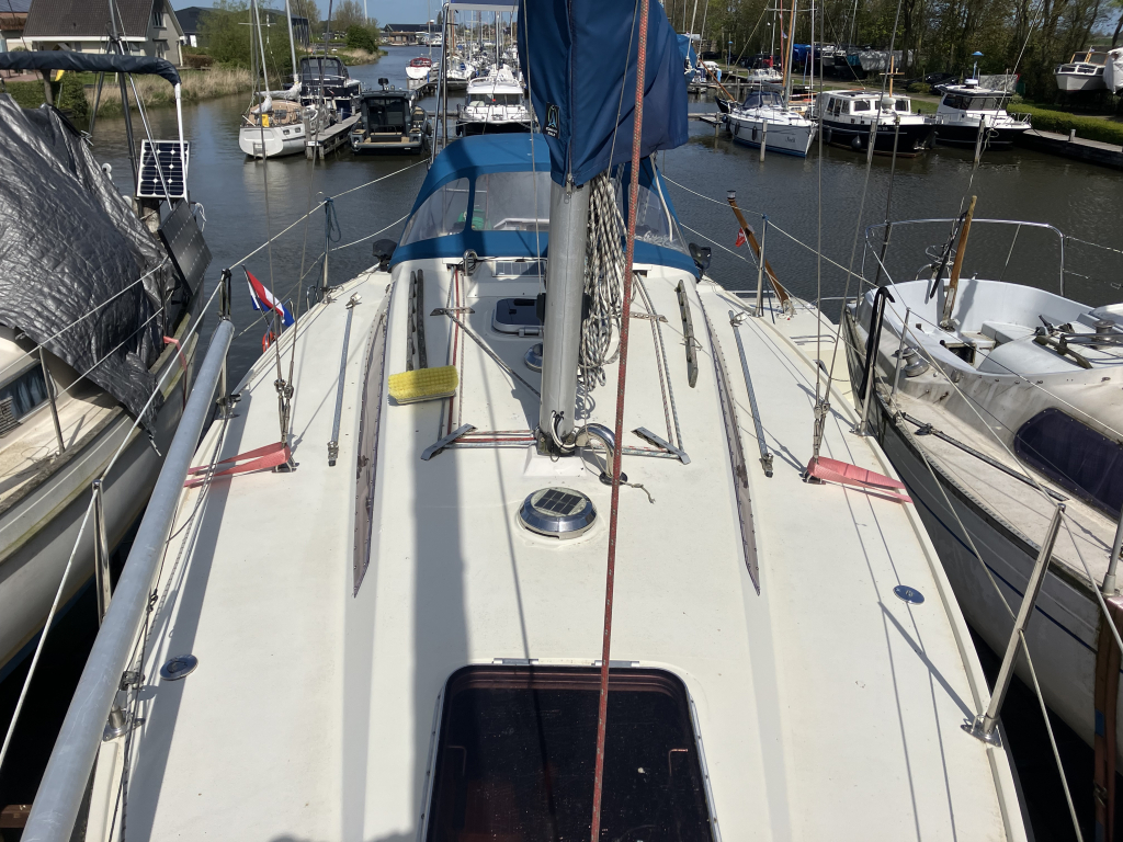 Sunwind 31 — foto 3 van 29