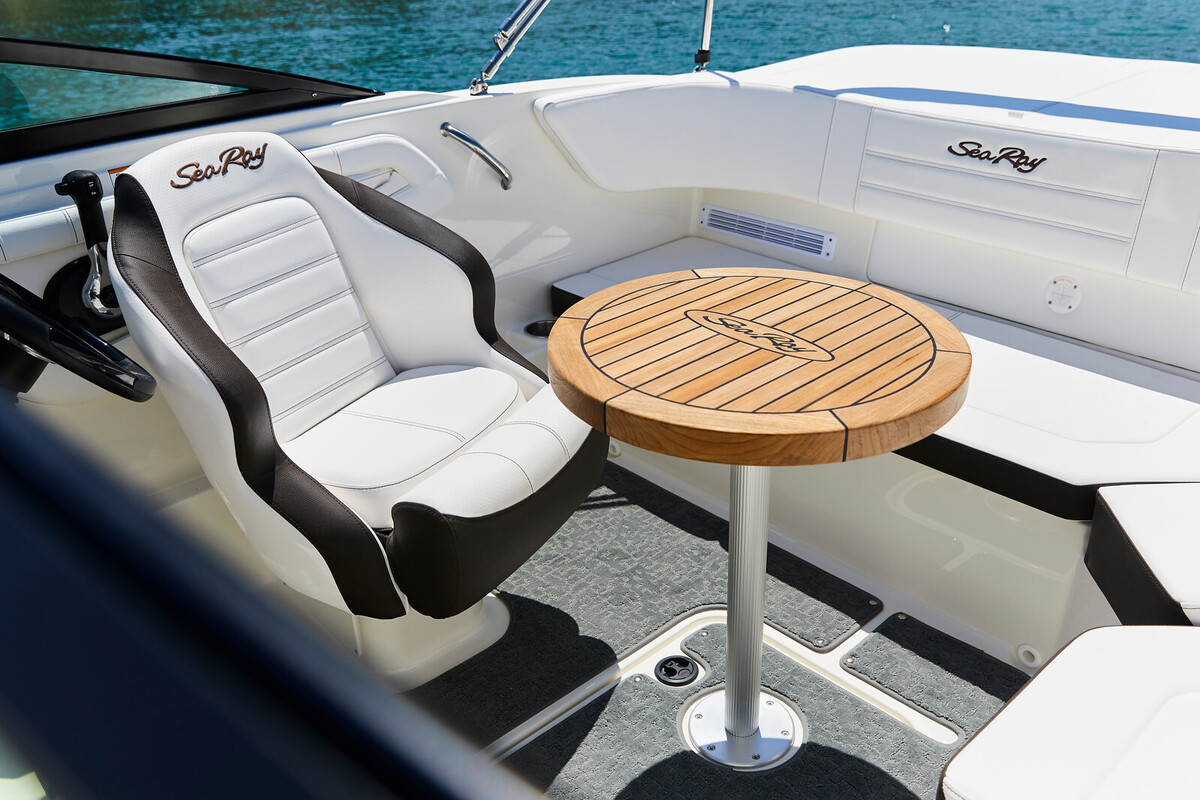 Sea Ray SPX 190 Outboard — foto 5 van 11