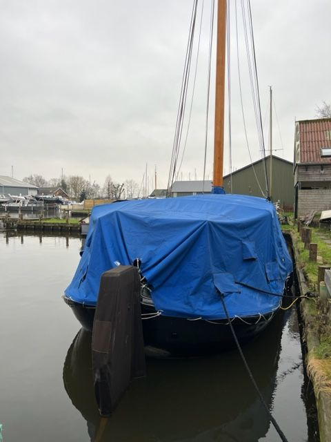 Lemsteraak WL 18 Fasant - Roefuitvoering Jachtuitvoering — foto 21 van 24