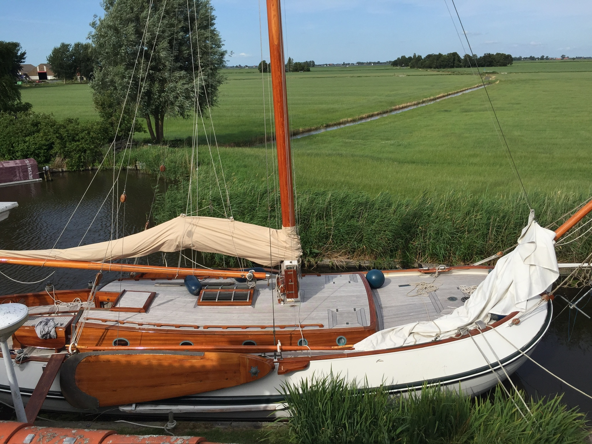 Lemsteraak Argonaut - Blom Roefaak — foto 8 van 15