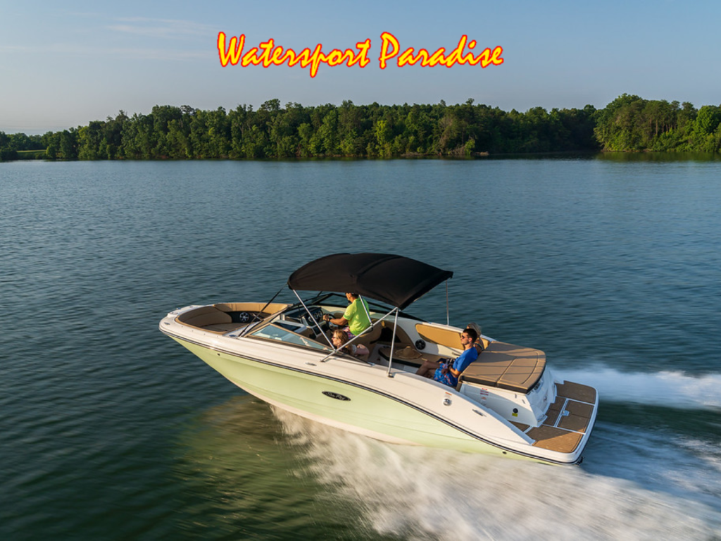 Sea Ray SPX 230 — foto 9 van 9