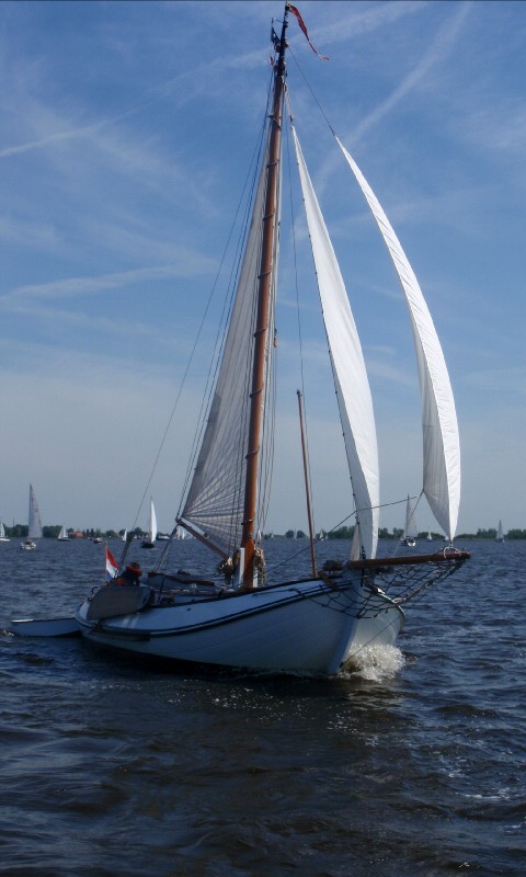 Lemsteraak Blom Roefmodel Anna — foto 37 van 42