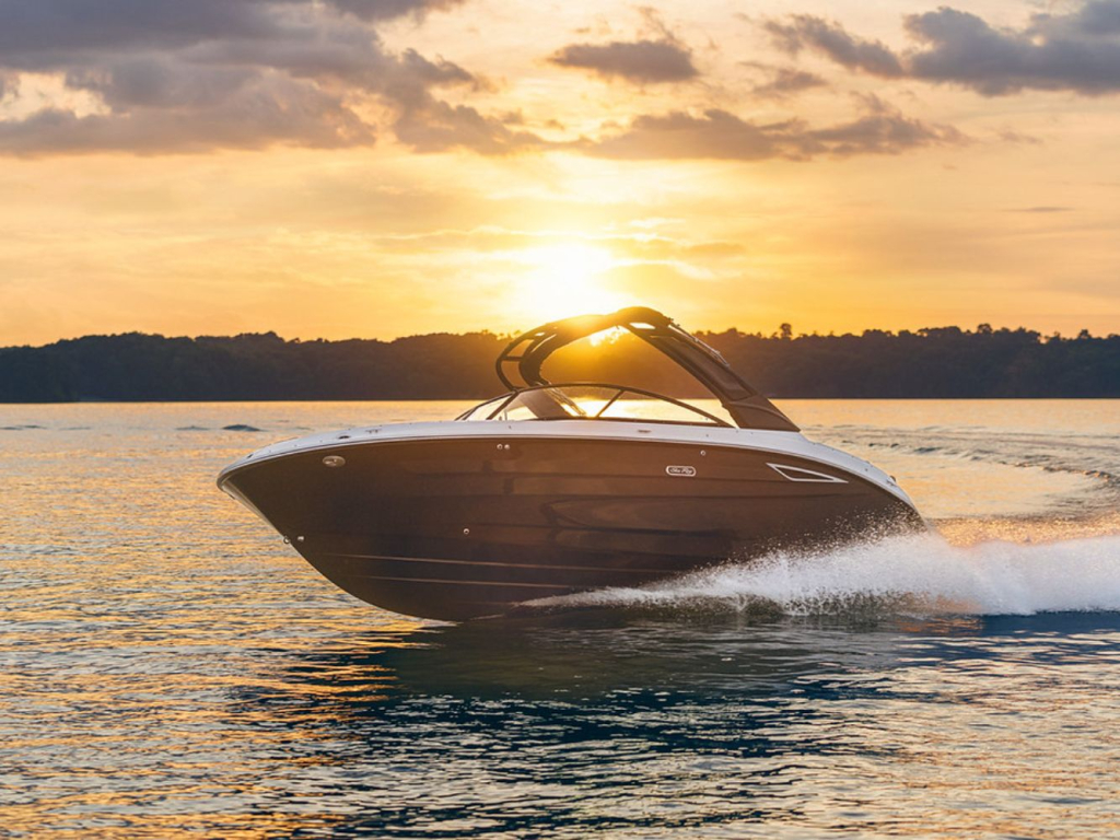 Sea Ray SDX 250 — foto 28 van 28