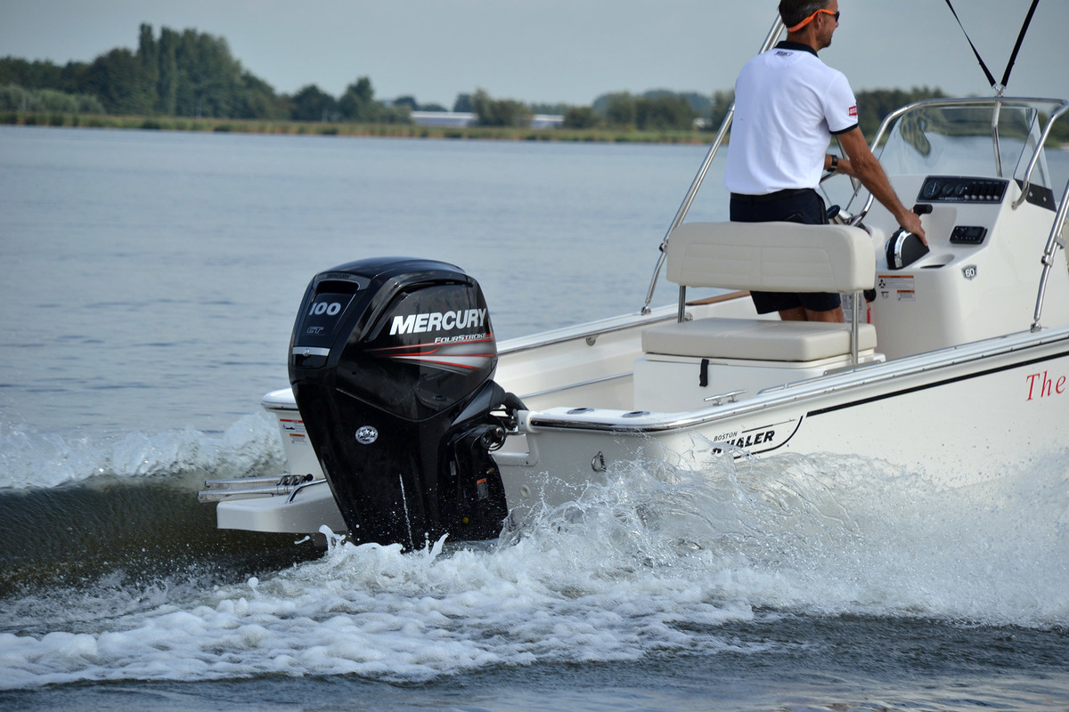 Boston Whaler 170 Montauk — foto 7 van 34