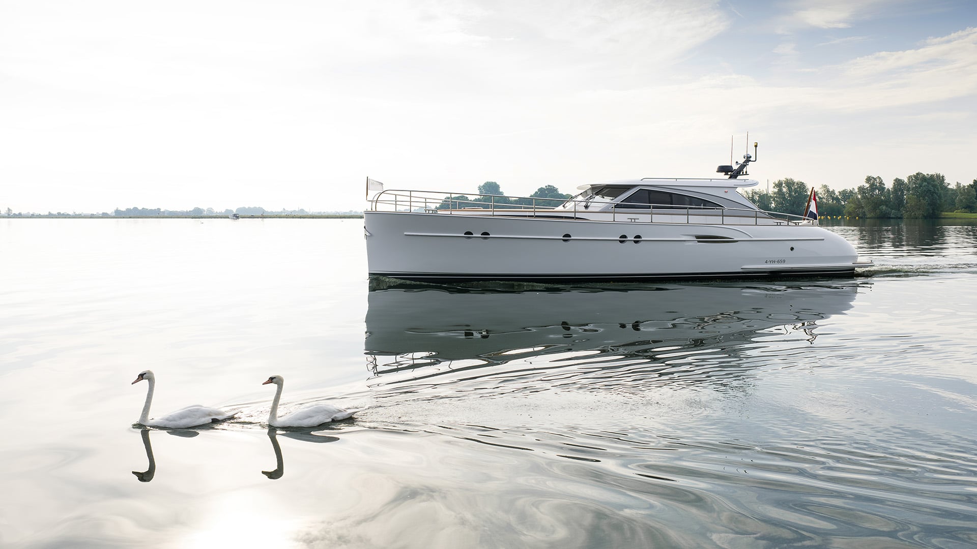 CYGNE — foto 9 van 12