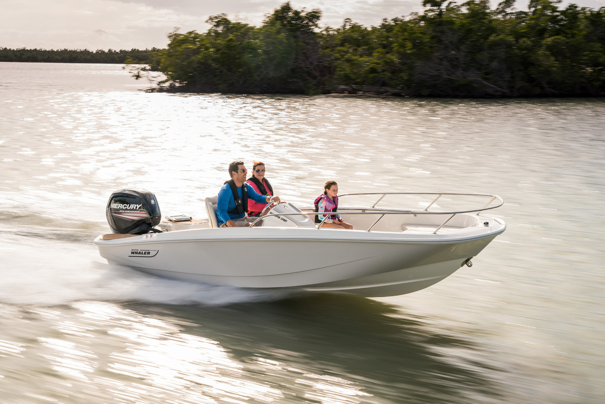 Boston Whaler 160 Super Sport — foto 2 van 19