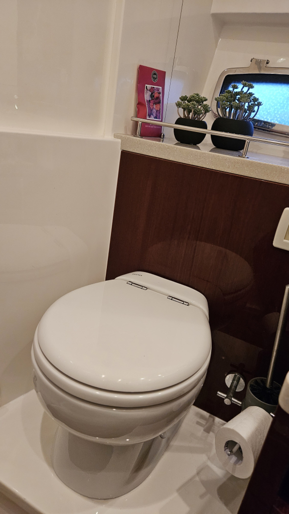 Sealine  F42 — foto 21 van 56