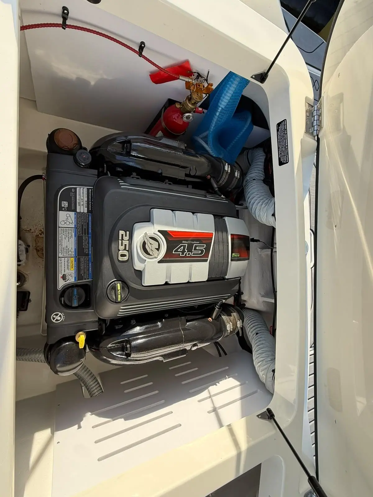 Sea Ray SPX 210 (New Model / 2026) — foto 22 van 31